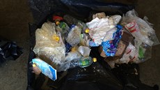Místo bioodpadu byly v hndých kontejnerech plasty.