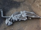 Archeologov vykopali v prostjovsk prmyslov zn mimo jin skelet...