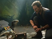 Chris Pratt se na ostrově snaží najít inteligentního ještěra, kterého vychoval.