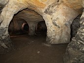 Praha 14 chce zpřístupnit zasypanou pískovnu Bílý kůň v Hloubětíně. (13.6.2018)