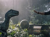 Záběr z filmu Jurský svět: Zánik říše Záběr z filmu Jurský svět: Zánik říše