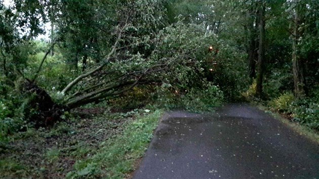 Hasii v Olomouckm kraji eili po nonch boukch hlavn popadan stromy a oderpvn vody z objekt. (12. ervna 2018)