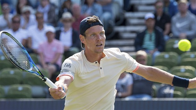 Tom Berdych na turnaji ve Stuttgartu