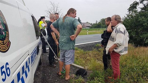 Strnci, policist a dobrovolnci u Hradce Krlov odchytvaj uprchlho klokana (12.6.2018).