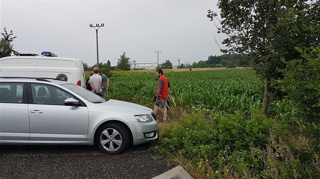 Strnci, policist a dobrovolnci u Hradce Krlov odchytvaj uprchlho klokana (12.6.2018).