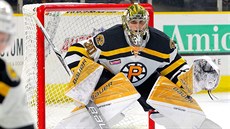 Český gólman chytá v AHL v týmu Providence Bruins. Český gólman chytá v AHL v týmu Providence Bruins.