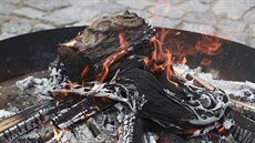 Prezident Milo Zeman spálil v zahradách Hradu ervené trenky. (14. ervna 2018)