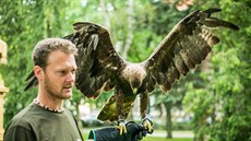 Jan Potřeba chová orla skalního, kterého představil na slavnostech Dotkni se... Jan Potřeba chová orla skalního, kterého představil na slavnostech Dotkni se...