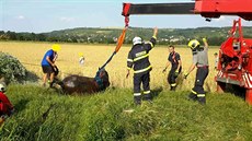 Jihomoravští hasiči vyprošťovali koně. K jeho záchraně použili i jeřáb (16.... Jihomoravští hasiči vyprošťovali koně. K jeho záchraně použili i jeřáb (16....