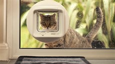 SureFlap kočičí dvířka s mikročipem: přístup domů pro vaše mazlíčky! SureFlap kočičí dvířka s mikročipem: přístup domů pro vaše mazlíčky!