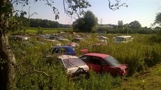 Toto není zarostlé vrakoviště, ale sbírka veteránů chráněná kopřivami, tvrdí... Toto není zarostlé vrakoviště, ale sbírka veteránů chráněná kopřivami, tvrdí...