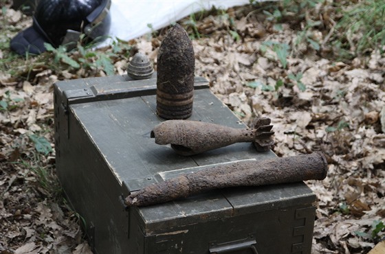 Pyrotechnici istí Boí les od staré munice pocházející z konce druhé svtové...