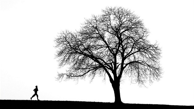 Ilustrační fotografie Ilustrační fotografie