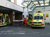 V Plzni našli ve středu v podvečer muže s uříznutou rukou. Měl ji u sebe v... V Plzni našli ve středu v podvečer muže s uříznutou rukou. Měl ji u sebe v...