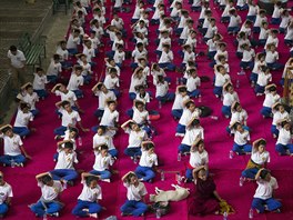 Lidé slavili Mezinárodní den jógy