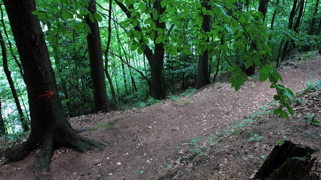 Obnovovan Mlnsk stezka (Roseggerweg) z Jchymova do Hornho ru