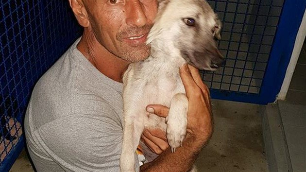 Rodil Paan Michael Chour zachrauje v Kambodi psi z jatek.