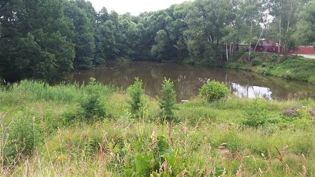 Pozemek s adou ternnho prav, pekek, klopench zatek a skok, kter v minulosti slouil jako neoficiln bikepark, je zarostl trvou. Havlkobrodsk radnice ho chce petvoit v mal park s cestikami, mobiliem i hernmi prvky pro dti.