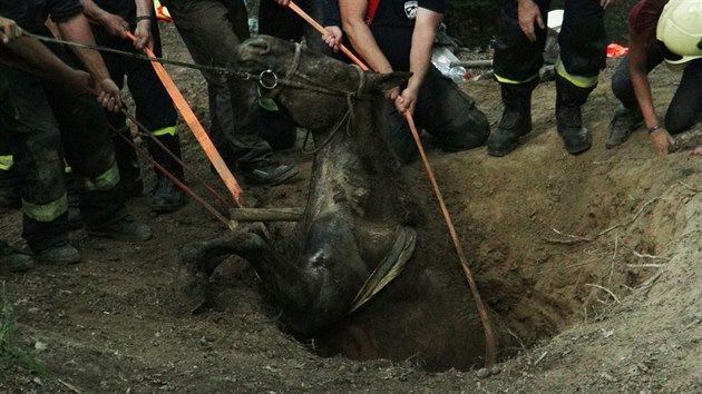 Pt jednotek stedoeskch hasi zasahovalo pi vyprotn kon z jmy v lese na Praze-zpad. (20.6.2018)