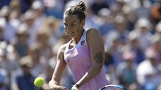 Karolína Plíšková na turnaji v Eastbourne. Karolína Plíšková na turnaji v Eastbourne.