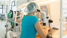Studenty čekají stovky hodin praxe ve speciálních laboratořích, v nichž se... Studenty čekají stovky hodin praxe ve speciálních laboratořích, v nichž se...