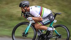 Peter Sagan na trati mistrovství Česka a Slovenska v Plzni Peter Sagan na trati mistrovství Česka a Slovenska v Plzni