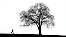 Ilustrační fotografie Ilustrační fotografie