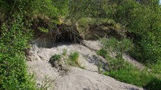 Krajinou eského granátu: Lipská hora a Mileovka z úboí Pleivce