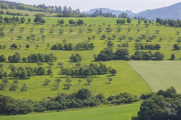 Ekofarma Javorník ve títné nad Vláí.