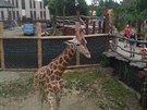Víkend v Zoo ve Dvoře Králové Víkend v Zoo ve Dvoře Králové