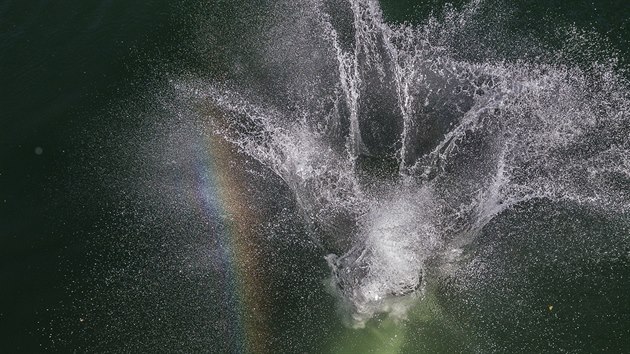 V zatopenm lomu v Srn u Hlinska se uskutenil zvod X-JUMP ve skocch do vody z vky 16 metr (7. ervence 2018).