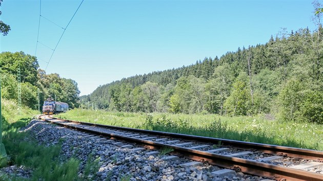 Na pravm behu Vltavy v seku mezi Vym Brodem a Herbertovem byly na jae ole. Majitel zskal povolen a nechal je pokcet.