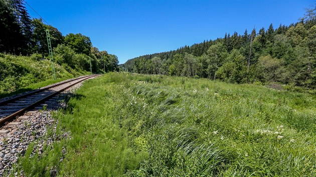 Na pravm behu Vltavy v seku mezi Vym Brodem a Herbertovem byly na jae ole. Majitel zskal povolen a nechal je pokcet.