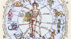 Spojením mezi zvrokruhem a lidským tlem se zabývá i diagram Johanna de...