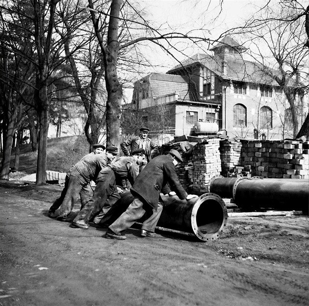 Národní smna u vodárny v Nové Vsi v roce 1948. Snímky dokumentují rodinný,...