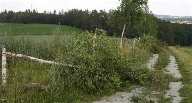 Vandal poniil celkem 19 bíz na dvou místech u obce Radenín.