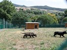 V pondl v Prackovicch slavnostn znovu oteveli chovatelsk stanice Policie...