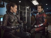 Ant-Man a Wasp je součástí většího příběhu.