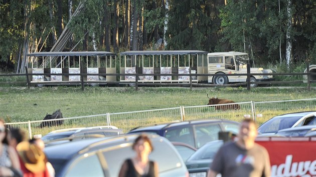 V zbavnm arelu iklv mln zemel ptilet chlapec pod koly vlku (14. 7. 2018).