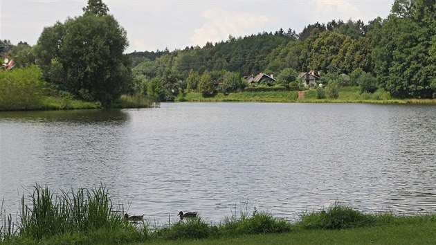 U vody a pitom nedaleko centra Havlíkova Brodu. Rybník Cihlá a jeho okolí je...