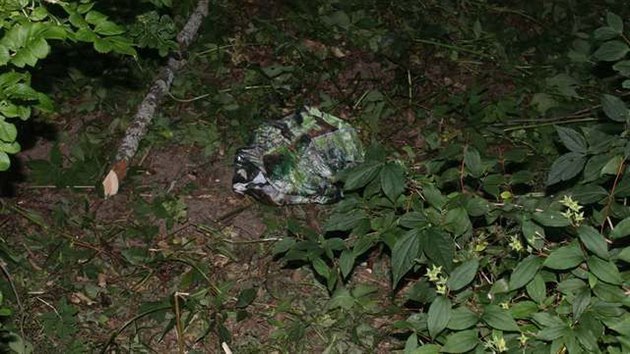 Psa zabalenho v igelitce ve znanm stdiu rozkladu nali nhodn kolemjdouc v pondl v zmeckm parku v Boru u Tachova. Zve mlo hlavu omotanou pskou.