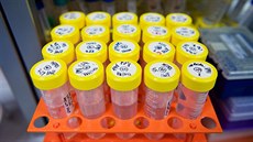 Laboratoř Laboratoř