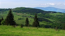 Javor a Poľana z vrchu Jasenie Javor a Poľana z vrchu Jasenie