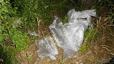 Zbytky fólie u mostu mezi Rosicemi a Svítkovem, která po natažení mezi sloupky... Zbytky fólie u mostu mezi Rosicemi a Svítkovem, která po natažení mezi sloupky...