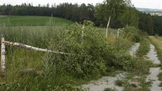 Vandal poničil celkem 19 bříz na dvou místech u obce Radenín. Vandal poničil celkem 19 bříz na dvou místech u obce Radenín.