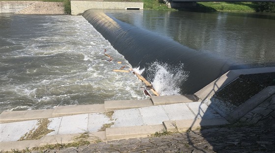 Splav, poblí kterého se topila dvojice mu.