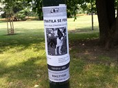 Tato fenka se už našla.