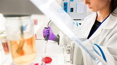 Jakkoli můžeme nad využitím exkrementů v lékařství povytahovat obočí nebo se... Jakkoli můžeme nad využitím exkrementů v lékařství povytahovat obočí nebo se...