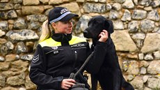 Lancelot s psovodkou, městskou policistkou Lenkou Gahlerovou. Lancelot s psovodkou, městskou policistkou Lenkou Gahlerovou.