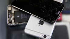 Apple Apple